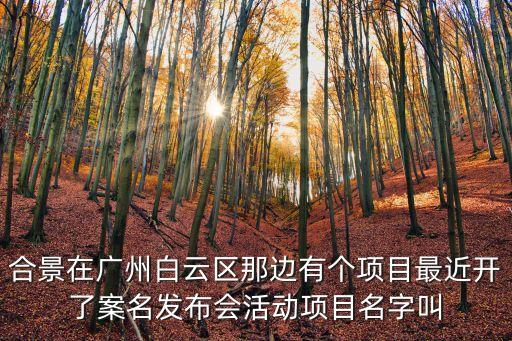 廣州金融城合景開盤，合景新鴻基瀧景新開盤的房子一般多久可交房