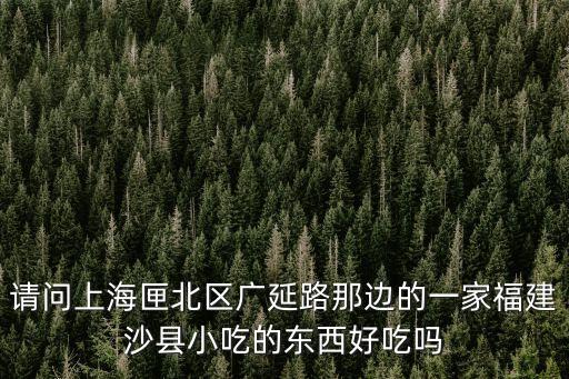 上海市沙縣小吃都市路店，請問上海匣北區(qū)廣延路那邊的一家福建沙縣小吃的東西好吃嗎