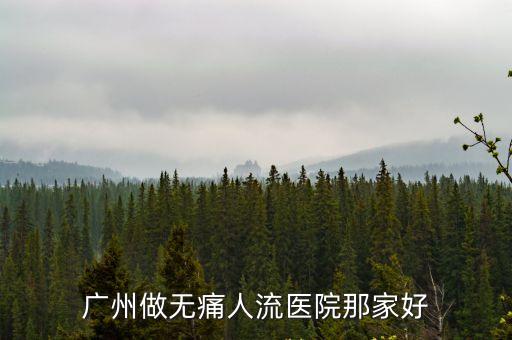 廣州做無痛人流醫(yī)院那家好