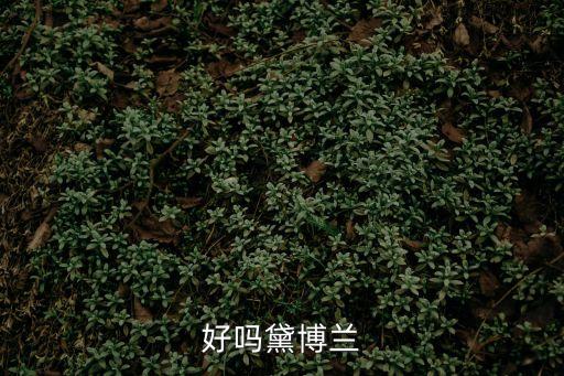 好嗎黛博蘭