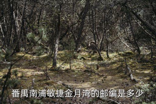 廣州敏捷金月灣上學，廣州哪個小區上學最方便