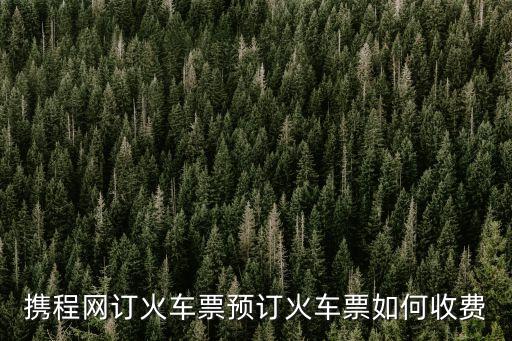 上海市攜程網鐵路，攜程網訂火車票預訂火車票如何收費