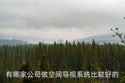 有哪家公司做空間導視系統比較好的