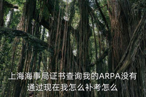 上海市 揚帆計劃，上海海事局證書查詢我的ARPA沒有通過現在我怎么補考怎么