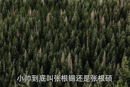 非誠(chéng)勿擾廣州潮牌小帥哥，非誠(chéng)勿擾廣州小伙幫爸爸收租的是哪一期