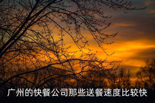 廣州快餐外賣龍頭行業，廣州珠三角地區那間餐飲外賣公司比較好啊