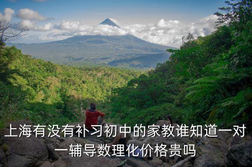 上海有沒(méi)有補(bǔ)習(xí)初中的家教誰(shuí)知道一對(duì)一輔導(dǎo)數(shù)理化價(jià)格貴嗎