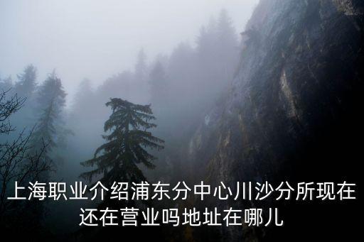 上海市港航事業發展中心在哪里，上海市桂林路396號4號樓501具體位置