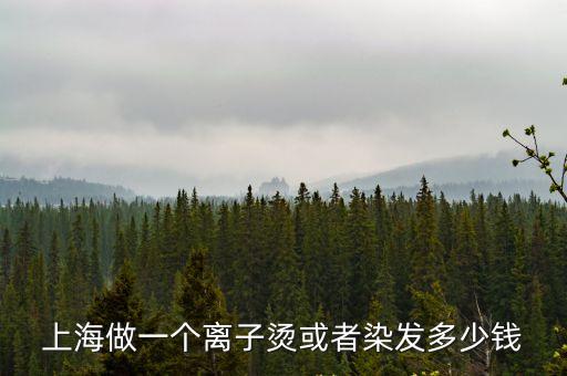 上海做一個離子燙或者染發多少錢
