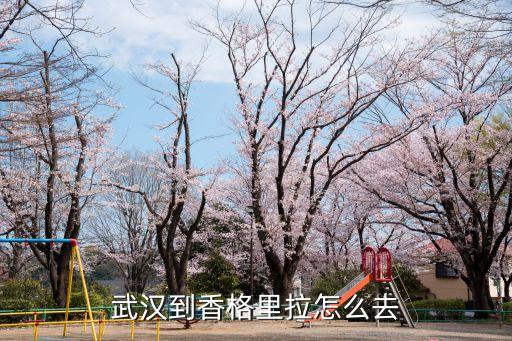武漢到廣州香格里拉怎么走，武漢到香格里拉怎么去