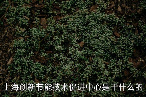 上海創(chuàng)新節(jié)能技術(shù)促進(jìn)中心是干什么的