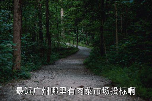 廣州東昌永勝街菜市場，世界WCG爆破5圖