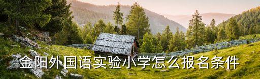 廣州金陽學校招生，金陽新世界國際學校打開校門招生誰是它的校長呢