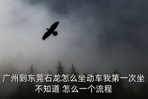 廣州到東莞石龍怎么坐動車我第一次坐不知道 怎么一個流程