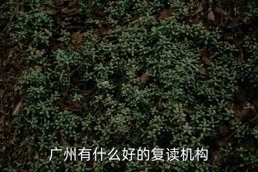 廣州高三復(fù)讀學(xué)校藝術(shù)學(xué)校，廣州美術(shù)高考復(fù)讀可以去哪些復(fù)讀學(xué)校今年復(fù)讀有政策改革嗎  搜