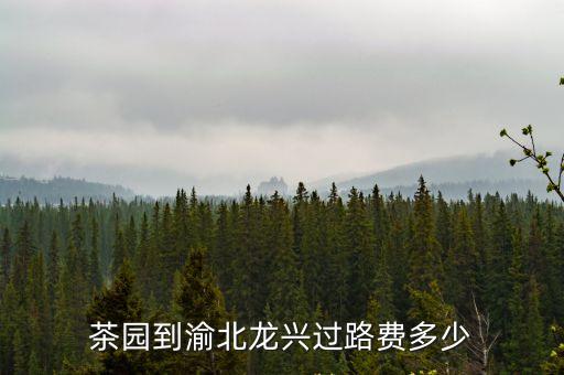 茶園到渝北龍興過路費多少