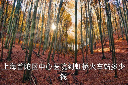 上海市普陀區(qū)中心醫(yī)院 采購，上海普陀區(qū)中心醫(yī)院到虹橋火車站多少錢