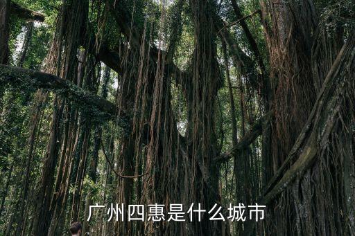 廣州四惠是哪個市，最大的賭石交易市場在哪里