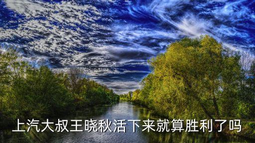 上海市上汽集團黨校，孟嗣宗教授的簡介