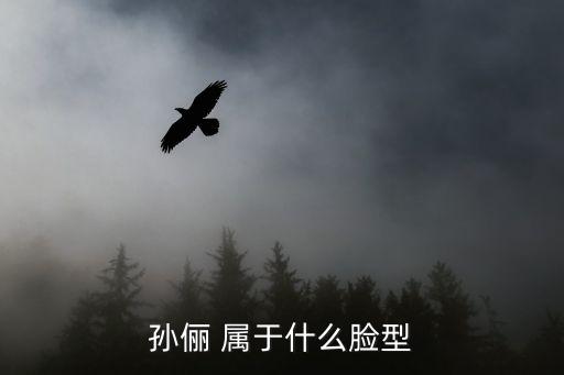 第15屆上海市時政大賽決賽，孫儷 屬于什么臉型