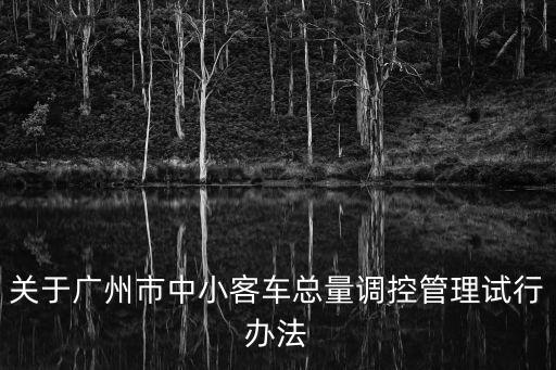 關于廣州市中小客車總量調控管理試行辦法