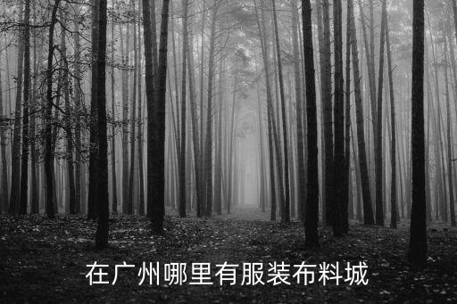 做古裝的布料去哪里拿廣州有嗎，在廣州哪里有服裝布料城