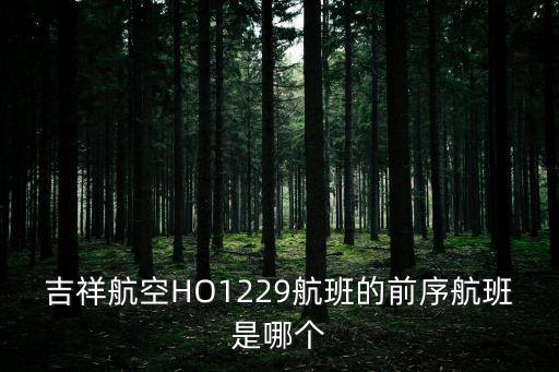 上海市浦東新區如意智慧酒店，吉祥航空HO1229航班的前序航班是哪個