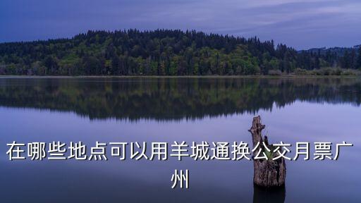 在哪些地點可以用羊城通換公交月票廣州
