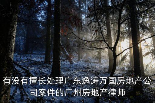 廣州找專業的房產律師有哪些，廣東最有名最成功的房地產律師是誰啊