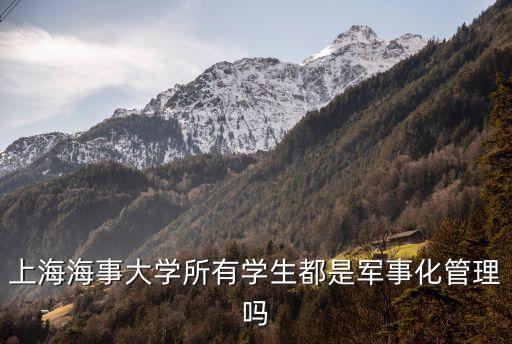 上海市海事大學所有學生，上海海事大學有多少學生