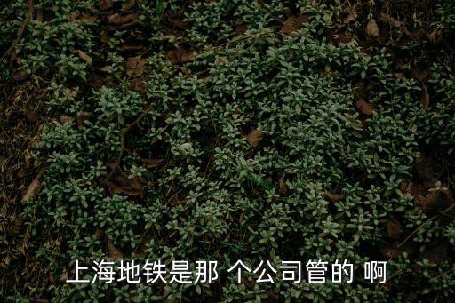 上海市地鐵管理單位，上海地鐵5號線是哪個公司在管理