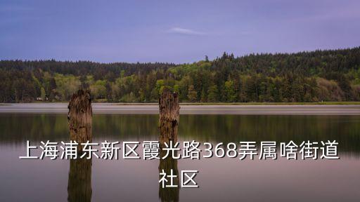 上海市霞光路368弄27號，霞光路368弄屬于什么街道