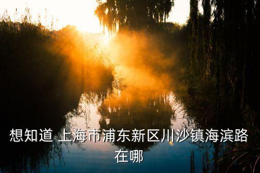 上海市海濱路，上海浦東海濱路1885號土地性質是什么