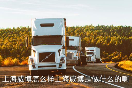 上海市威博軟件有限公司，上海威博好么有什么優點呢