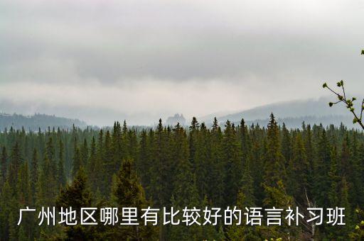 廣州地區哪里有比較好的語言補習班