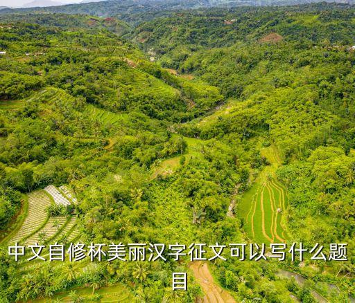 上海市 美麗漢字 征文活動，中文自修杯美麗漢字可以寫些什么作文題目