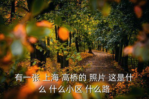 上海市立高橋航拍，有一張 上海 高橋的 照片 這是什么 什么小區 什么路