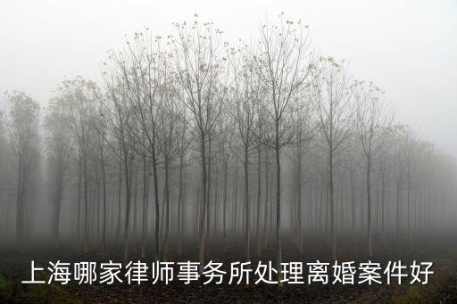 上海市辦理離婚糾紛律師哪里找，上海哪家律師事務(wù)所處理離婚案件比較好