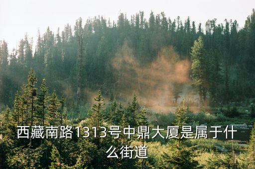 西藏南路1313號中鼎大廈是屬于什么街道
