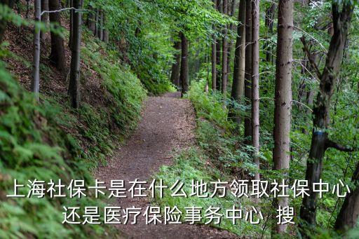 上海市盧灣區去哪里領社保卡，上海周日可以去街道社保中心領取社保卡嗎盧灣區