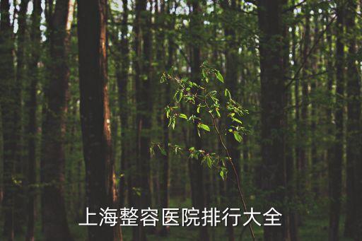 上海市整容整形醫院 預約薇琳，上海整容醫院排行大全