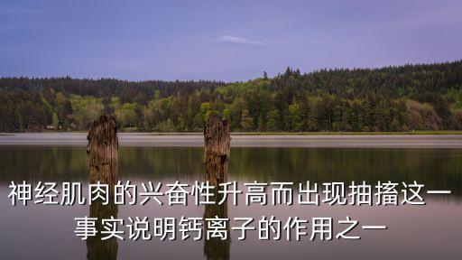 神經(jīng)肌肉的興奮性升高而出現(xiàn)抽搐這一事實說明鈣離子的作用之一