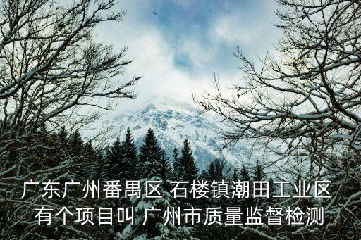 廣州豐盛能源項(xiàng)目，在廣州立項(xiàng)未開工的化工廠項(xiàng)目都有那些