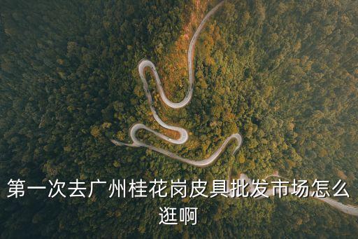 第一次去廣州桂花崗皮具批發市場怎么逛啊