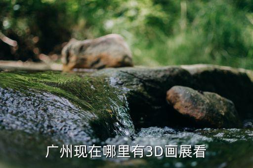 廣州3d展廳哪家靠譜，廣州現在哪里有3D畫展看