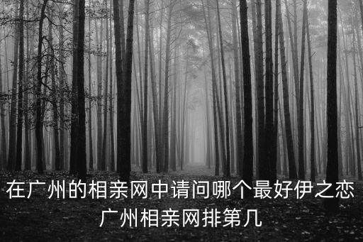 在廣州的相親網中請問哪個最好伊之戀廣州相親網排第幾