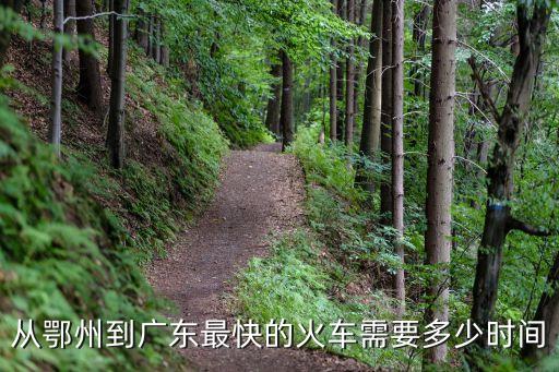 從鄂州到廣東最快的火車需要多少時間