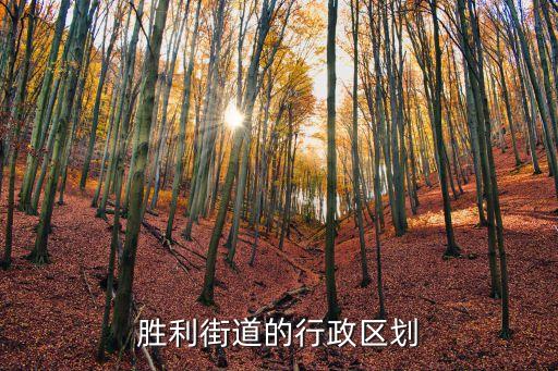 勝利街道的行政區(qū)劃