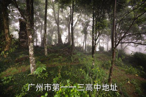 廣州市113高中部地址，廣州市第一一三高中地址