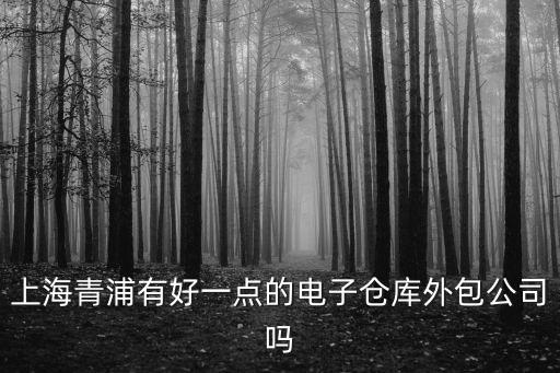 上海市智能立體庫外包，上海有哪家比較好的自動化倉儲物流外包服務(wù)公司